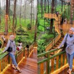 Orchid Forest Cikole Lembang