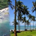 Review Villa amanda ratu Pantai Ujung Genteng 1