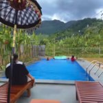 Villa Di Bogor Dengan Private Pool Murah